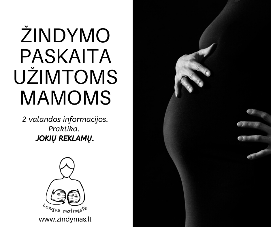 Žindymas užimtoms mamoms