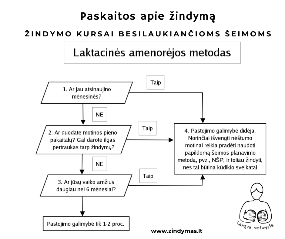 3 klausimai laktacinės amenorėjos patikimumui nustatyti