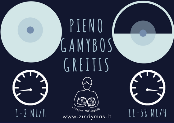 Pieno gamybos greitis